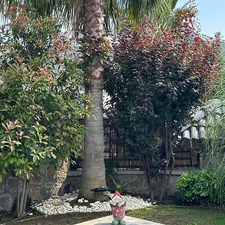 Falcon With Swimming Pool And Great Views Bodrum