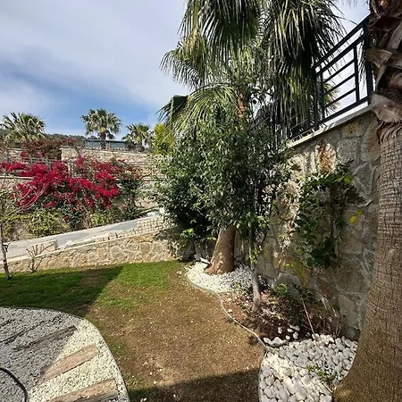 Hotel Falcon With Swimming Pool And Great Views Bodrum