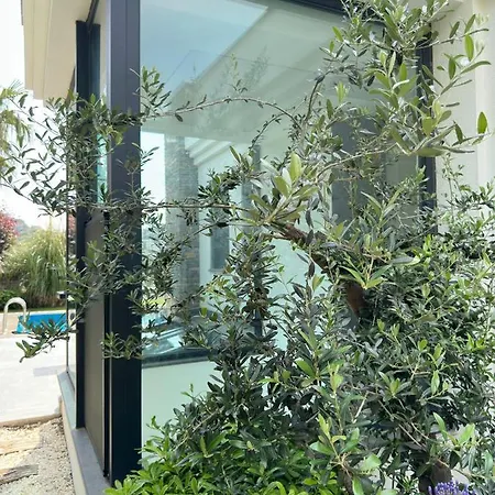 Hotel Falcon With Swimming Pool And Great Views *