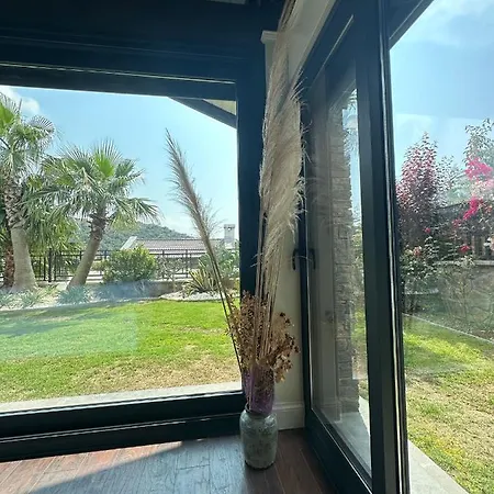 Falcon With Swimming Pool And Great Views